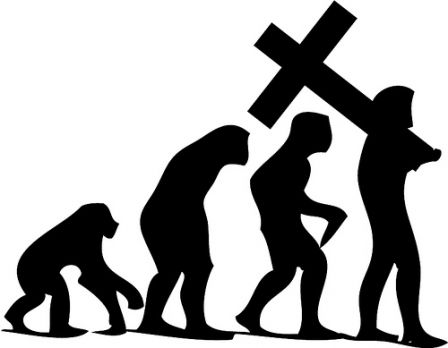 Evolution - Darwin