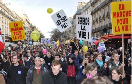 Marche pour la vie 2010